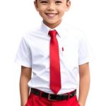 Minh Long
